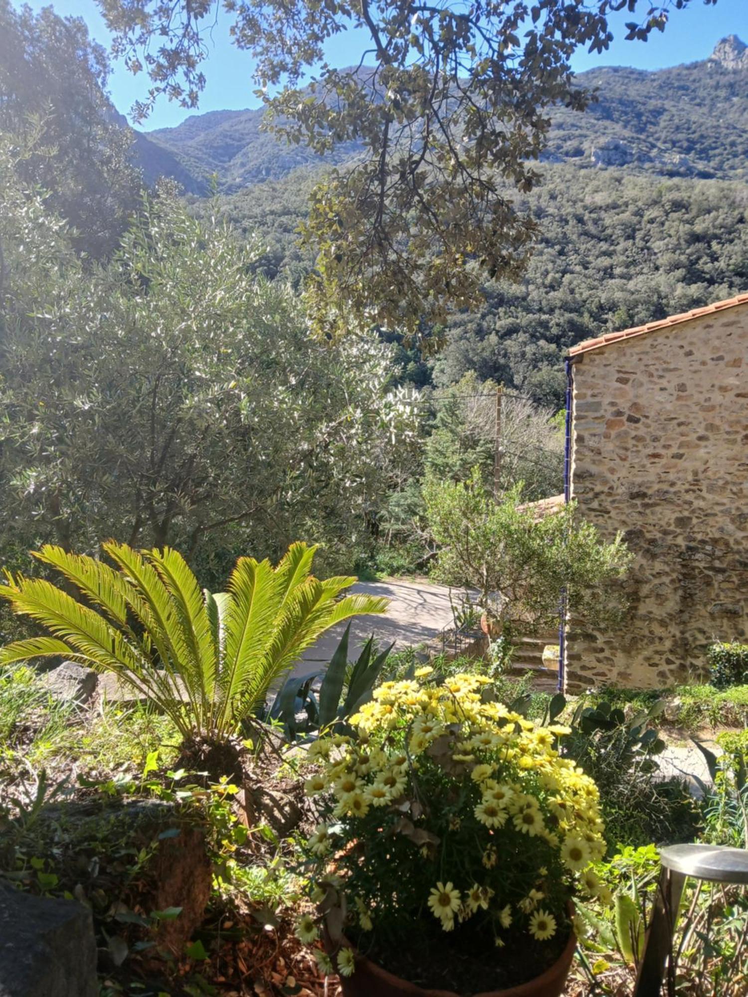 Ferienhaus Mas La Bergerie *