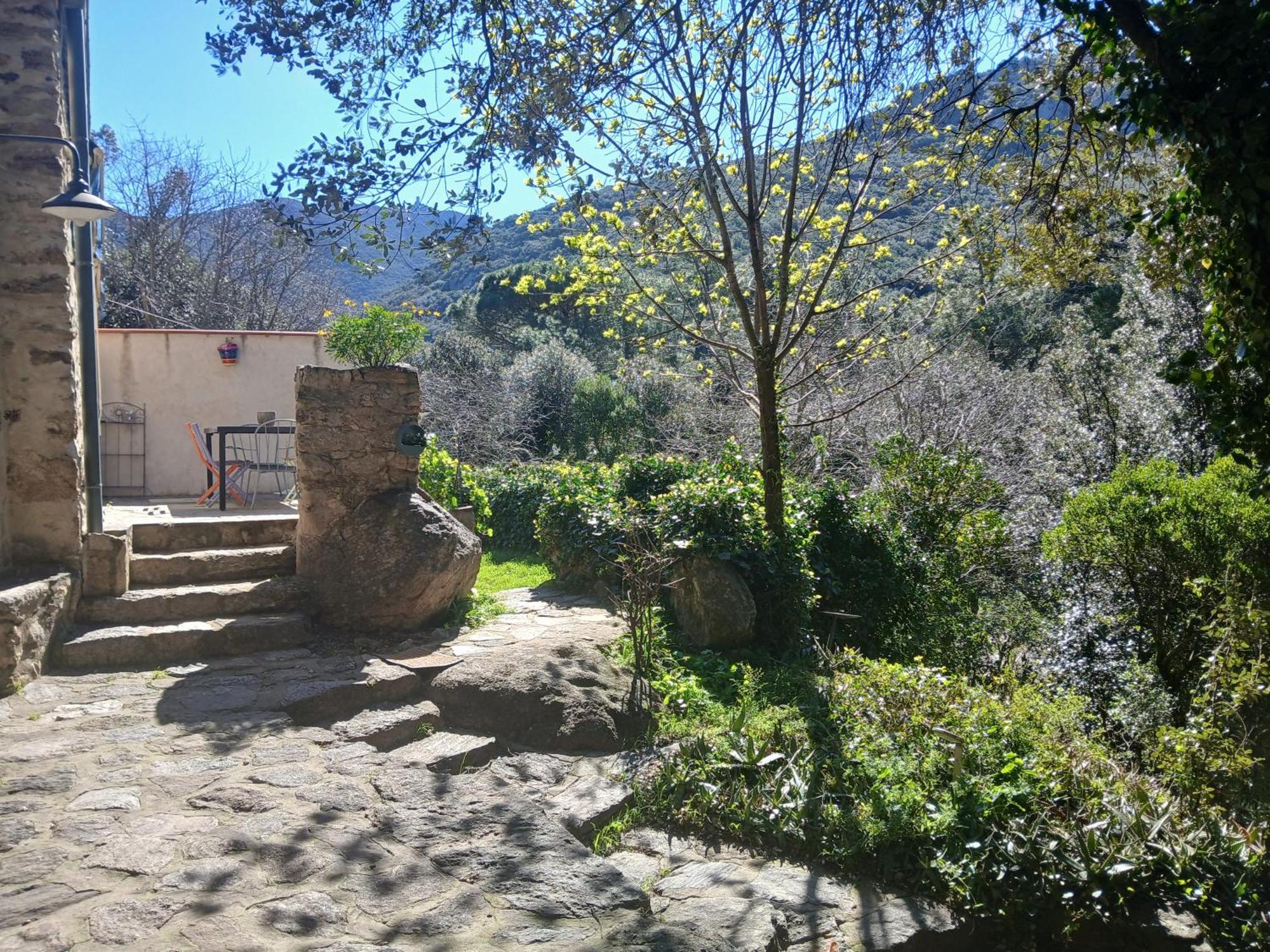Mas La Bergerie Ferienhaus Sorède
